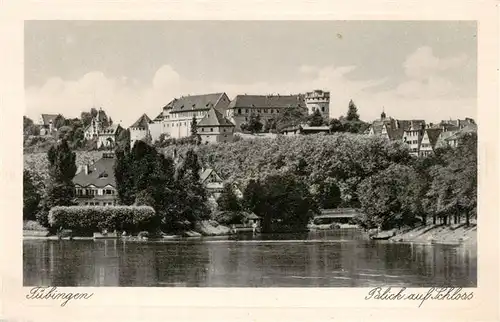 AK / Ansichtskarte 73899318 Tuebingen Blick auf Schloss Tuebingen