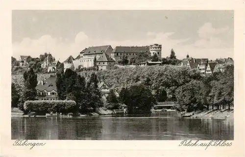 AK / Ansichtskarte  Tuebingen Blick auf Schloss Tuebingen