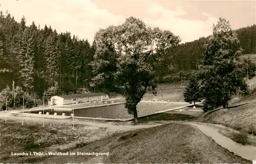 AK / Ansichtskarte  Lauscha Waldbad im Steinachgrund Lauscha