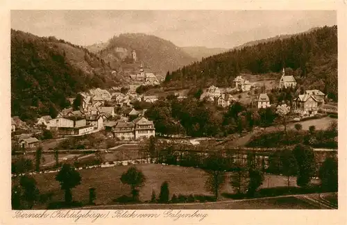 AK / Ansichtskarte  Berneck__Bad Blick vom Galgenberg 