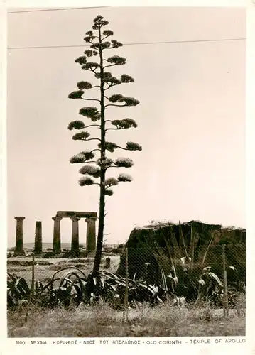 AK / Ansichtskarte  Corinth_Corinthe_Korinth_Korinthia_Greece Temple of Apollo 