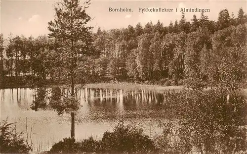AK / Ansichtskarte 73899759 Bornholm Pykkekullekaer i Almindingen Bornholm