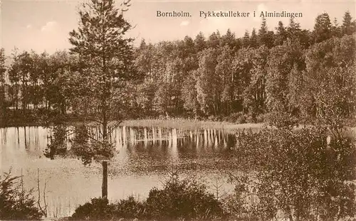 AK / Ansichtskarte  Bornholm Pykkekullekaer i Almindingen Bornholm