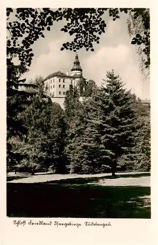 AK / Ansichtskarte  Isergebirge_Jizerske_Hory_CZ Wallenstein-Schloss Friedland 