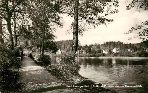 AK / Ansichtskarte  Bad_Georgenthal_Gotha Promenade am Hammerteich Bad_Georgenthal_Gotha