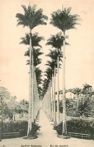 AK / Ansichtskarte  Rio_de_Janeiro Jardim Botanico Rio_de_Janeiro