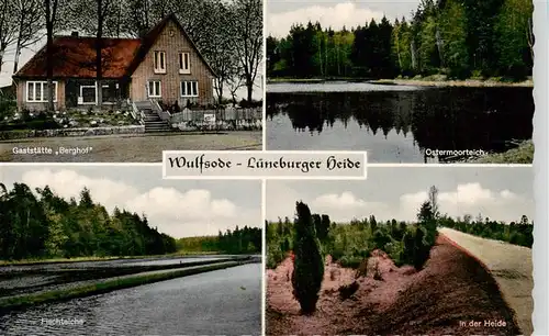 AK / Ansichtskarte  Wulfsode_Wriedel Gaststaette Berghof Ostermoorteich Fischteiche Landschaftspanorama Lueneburger Heide 