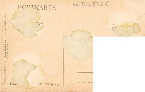 AK / Ansichtskarte  Heidelberg__Neckar Panorama 
