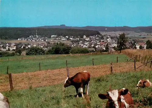 AK / Ansichtskarte  Hintermeilingen_Waldbrunn Panorama 