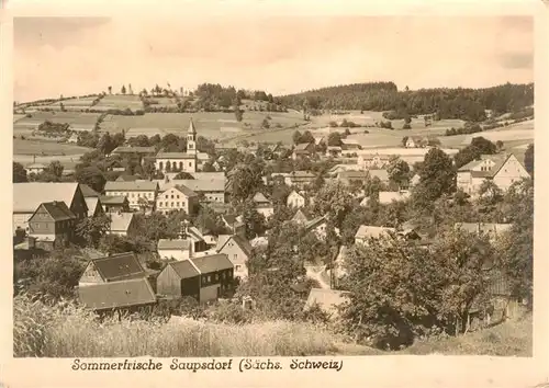 AK / Ansichtskarte  Saupsdorf Ortsansicht Saupsdorf