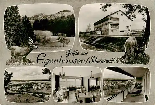 AK / Ansichtskarte 73900438 Egenhausen_Wuerttemberg Kurhaus Bergfrieden Kaffee Restaurant Panorama Terrasse Egenhausen Wuerttemberg