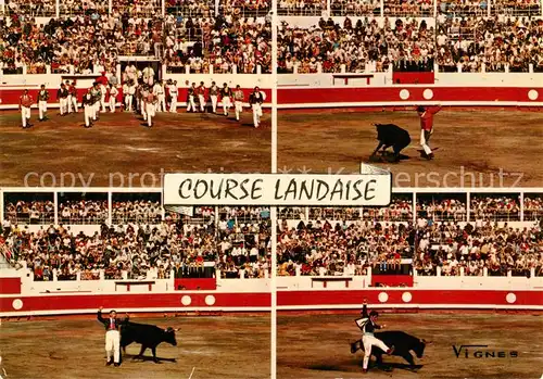 AK / Ansichtskarte  Stierkampf_Corrida_de_Toros_Bullfight Course Landaise Vignes  