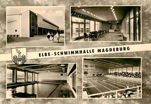AK / Ansichtskarte 73900610 Magdeburg Elbe Schwimmhalle Teilansichten Magdeburg