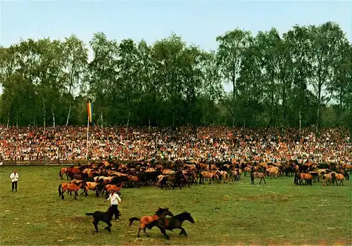 AK / Ansichtskarte  Duelmen Wildpferdefang in Merfelder Bruch Duelmen