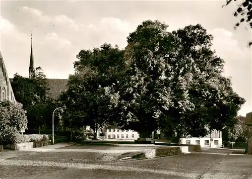 AK / Ansichtskarte  Bordesholm Wahrzeichen ca. 3oojaehrige Linde Bordesholm