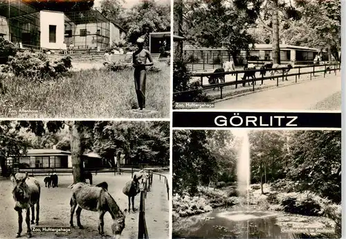 AK / Ansichtskarte 73900816 Goerlitz__Sachsen Zum Affenhaus Zoo Huftiergehege Goldfischteich im Stadtpark 