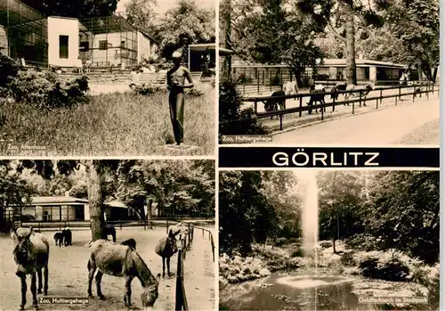 AK / Ansichtskarte 73900817 Goerlitz__Sachsen Zum Affenhaus Zoo Huftiergehege Goldfischteich im Stadtpark 