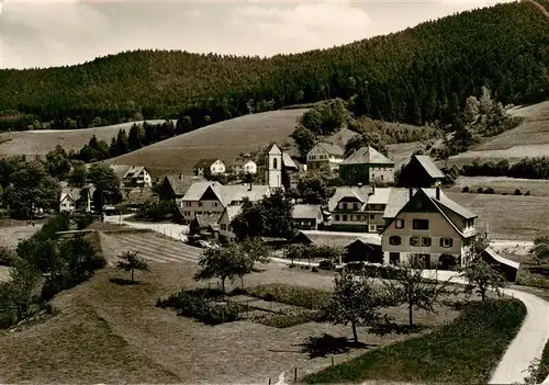 AK / Ansichtskarte  Reinerzau Panorama Reinerzau