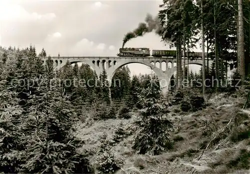 AK / Ansichtskarte  Eisenbahn_Railway_Chemin_de_Fer Ernstthal am Rennsteig Bruecke im Finstergrund 