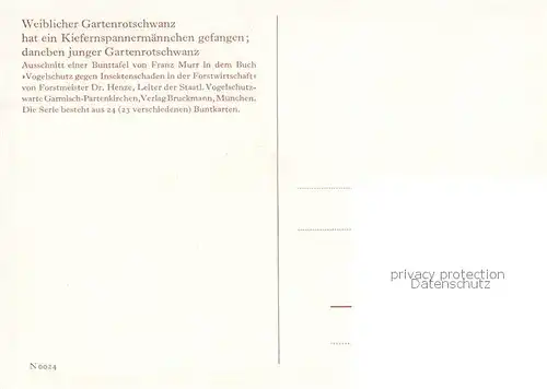 AK / Ansichtskarte  Voegel_Birds_Oiseaux Weiblicher Gartenrotschwanz  