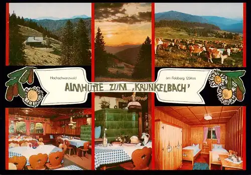 AK / Ansichtskarte 73901051 Feldberg_1450m_Schwarzwald Almhuette zum Krunkelbach Gastraeume Zimmer Viehweide 