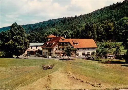 AK / Ansichtskarte 73901101 Hardheim_Odenwald Gasthof Pension zur Wohlfahrtsmuehle Hardheim Odenwald