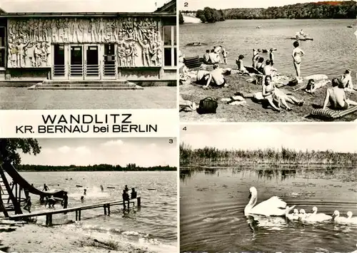 AK / Ansichtskarte  Wandlitz Polytechn Oberschule Wandlitzsee Liegnitzsee Strandbad Schwanenfamilie Wandlitz