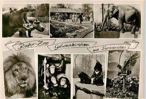 AK / Ansichtskarte 73901282 Zoo_Gardin_Zoologique-- Ruhr-Zoo Gelsenkirchen  