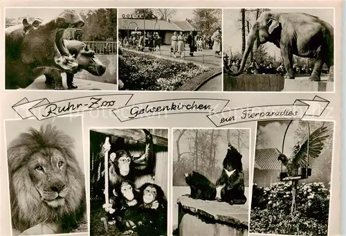 AK / Ansichtskarte  Zoo_Gardin_Zoologique-- Ruhr-Zoo Gelsenkirchen  