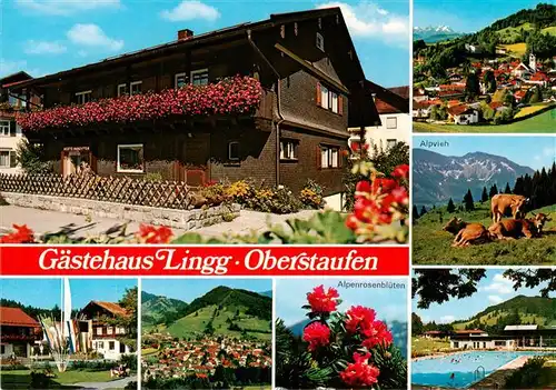 AK / Ansichtskarte 73901356 Oberstaufen Gaestehaus Lingg Panorama Alpenrosen Alpvieh Schwimmbad Oberstaufen