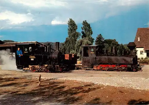 AK / Ansichtskarte  Schinznach_Bad Schinznacher Baumschulbahn Dampflokomotiven Pinus und Taxus Schinznach_Bad