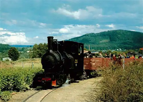 AK / Ansichtskarte  Schinznach_Bad Schinznacher Baumschulbahn Dampflokomotive Pinus Schinznach_Bad
