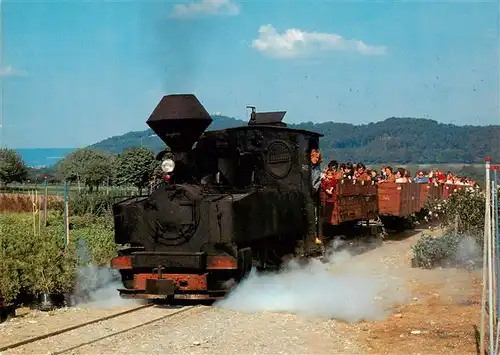 AK / Ansichtskarte  Schinznach_Bad Schinznacher Baumschulbahn Dampflokomotive Taxus Schinznach_Bad