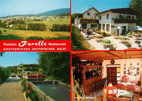 AK / Ansichtskarte  Grafenwiesen Panorama Pension Forelle Restaurant Forellen Stueberl Fischteich Grafenwiesen