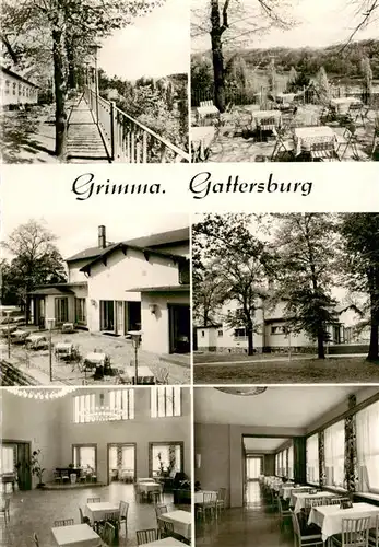 AK / Ansichtskarte  Grimma HO-Gaststaette Gattersberg Gastraeume Terrasse Grimma