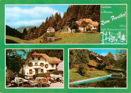 AK / Ansichtskarte  Haeg-Ehrsberg_Baden Gasthaus Pension zum Forsthof im Schwarzwald 