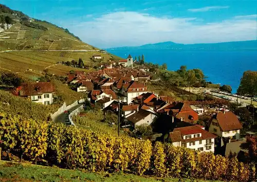 AK / Ansichtskarte  Twann_BE Douanne Rundweg Blick auf Bielersee 