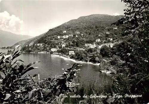 AK / Ansichtskarte 73901970 Colmegna_Lago_Maggiore_IT Panorama 