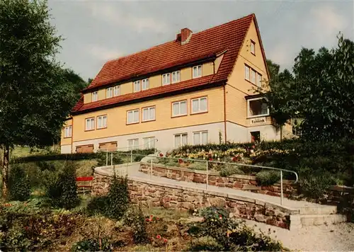 AK / Ansichtskarte  Bad_Grund Pension Haus Tanneck Bad_Grund