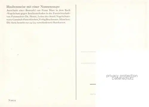 AK / Ansichtskarte  Voegel_Birds_Oiseaux Haubenmeise Nonnenraupe 