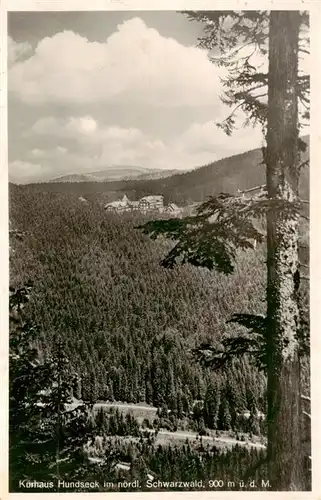 AK / Ansichtskarte  Hundseck_Buehl Kurhaus Panorama 