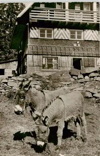 AK / Ansichtskarte  Seebach_Ottenhoefen_Schwarzwald Darmstaedter Huette mit Wildsee und Ruhestein Seebach_Ottenhoefen