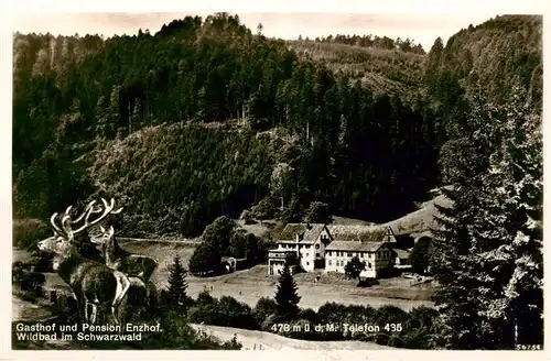 AK / Ansichtskarte  Wildbad_Schwarzwald Gasthof Pension Enzhof  Wildbad_Schwarzwald