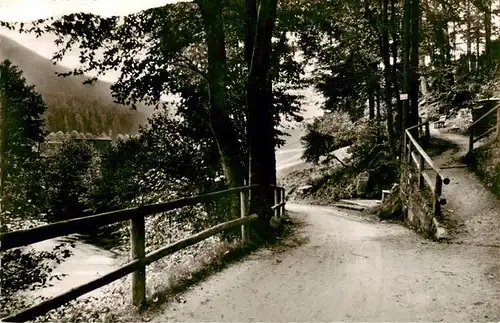 AK / Ansichtskarte  Wildbad_Schwarzwald Bei der Marienruhe Wildbad_Schwarzwald