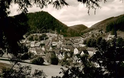 AK / Ansichtskarte  Bad_Teinach-Zavelstein Panorama Bad_Teinach-Zavelstein