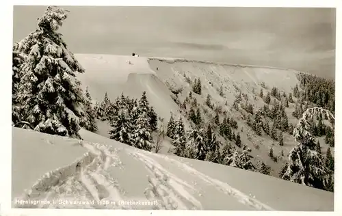 AK / Ansichtskarte  Hornisgrinde_Sasbach Winterpanorama  