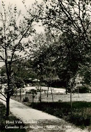 AK / Ansichtskarte  Cannobio_Lago_Maggiore_IT Hotel Villa Belvedere 