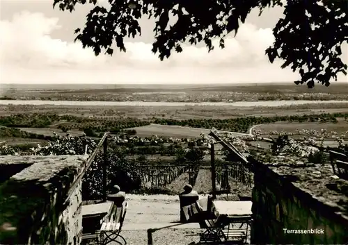 AK / Ansichtskarte  Frauenstein__Wiesbaden Terrassenblick 