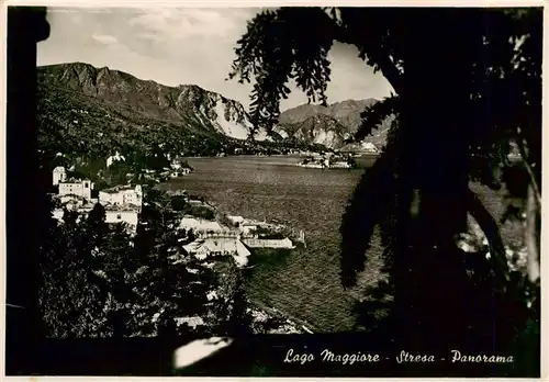 AK / Ansichtskarte  Stresa_Borromeo_Lago_Maggiore_IT Panorama 