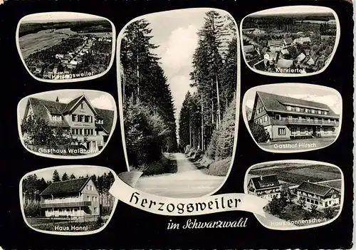 AK / Ansichtskarte  Herzogsweiler_Pfalzgrafenweiler Gasthaus Waldhorn Haus Hanni Kurviertel Gasthof Hirsch Haus Sonnenschein 